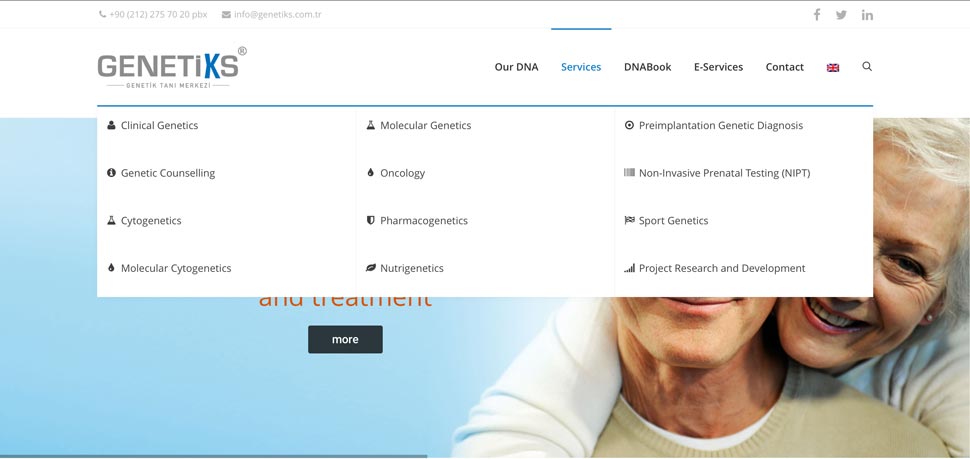Genetiks Website
